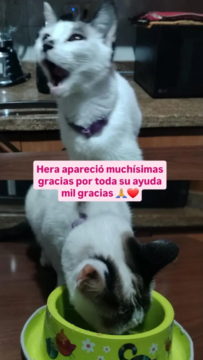 Hera