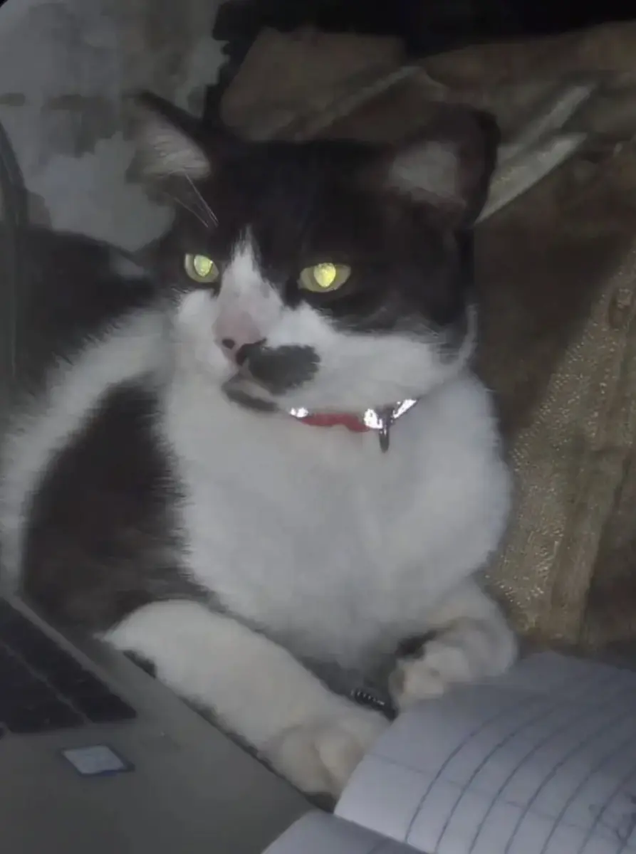 Tom