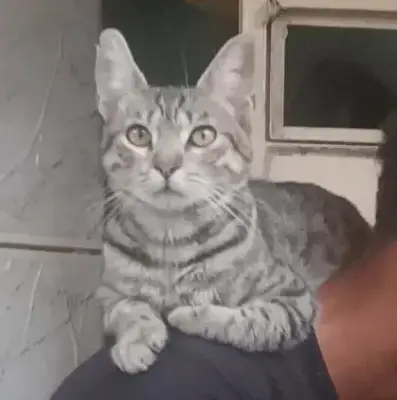 Ragnar