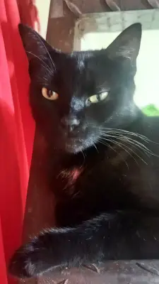 Luna