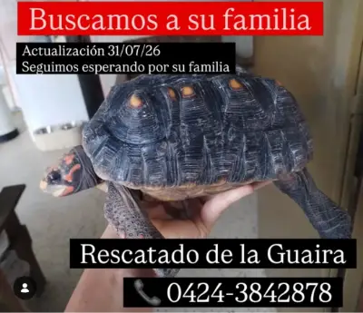 Otro encontrado