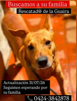 Encontrada