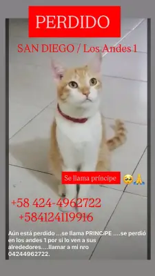 Príncipe