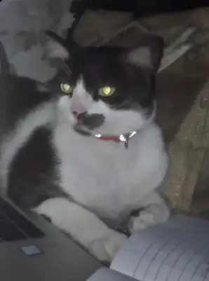 Tom