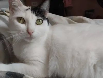 Foto de Luna, reunida con su familia