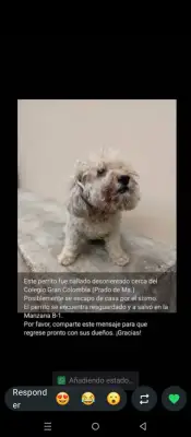 Se desconoce