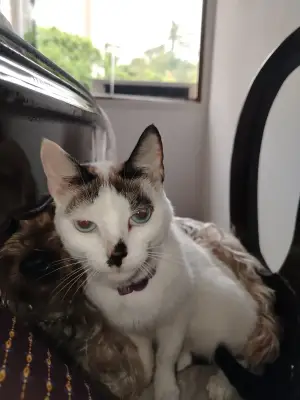 Hera