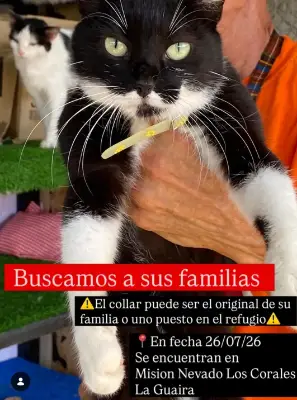 Encontrada