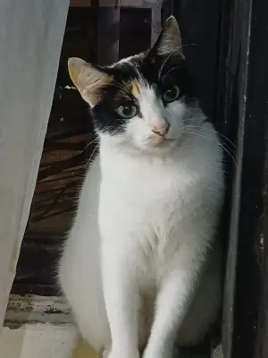 Mia Niña