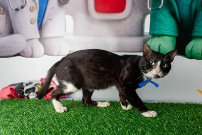 Tom