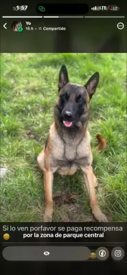 Kenai