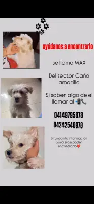 MAX
