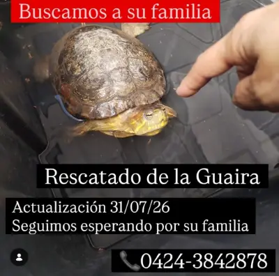 Otro encontrado