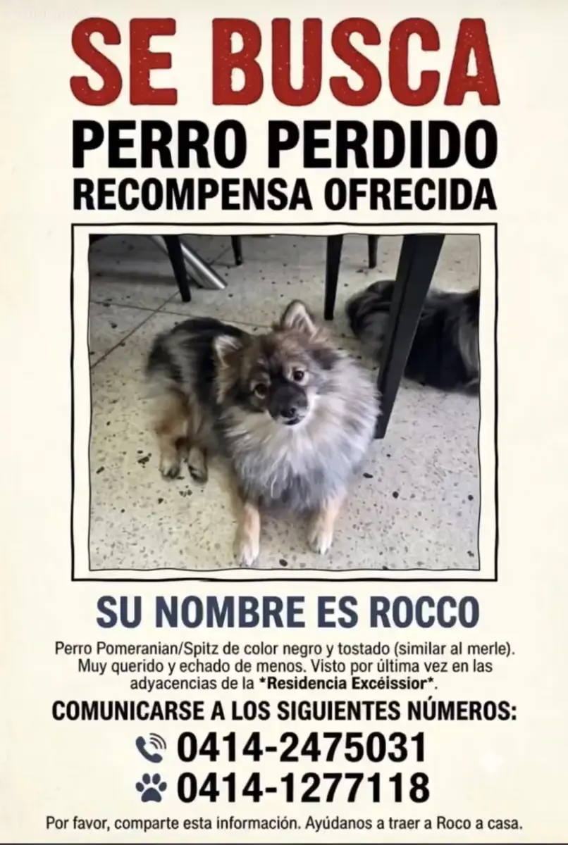 Rocco