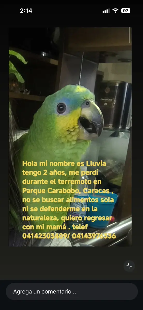 Lluvia
