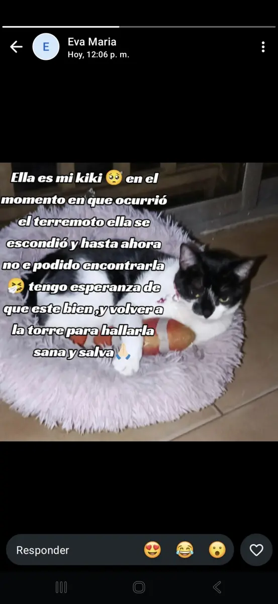 Kiki
