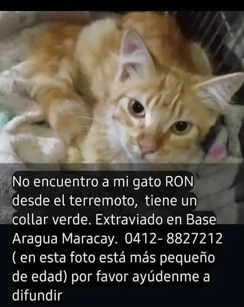 Ron