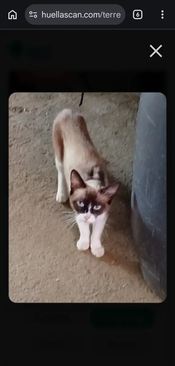 Mititu