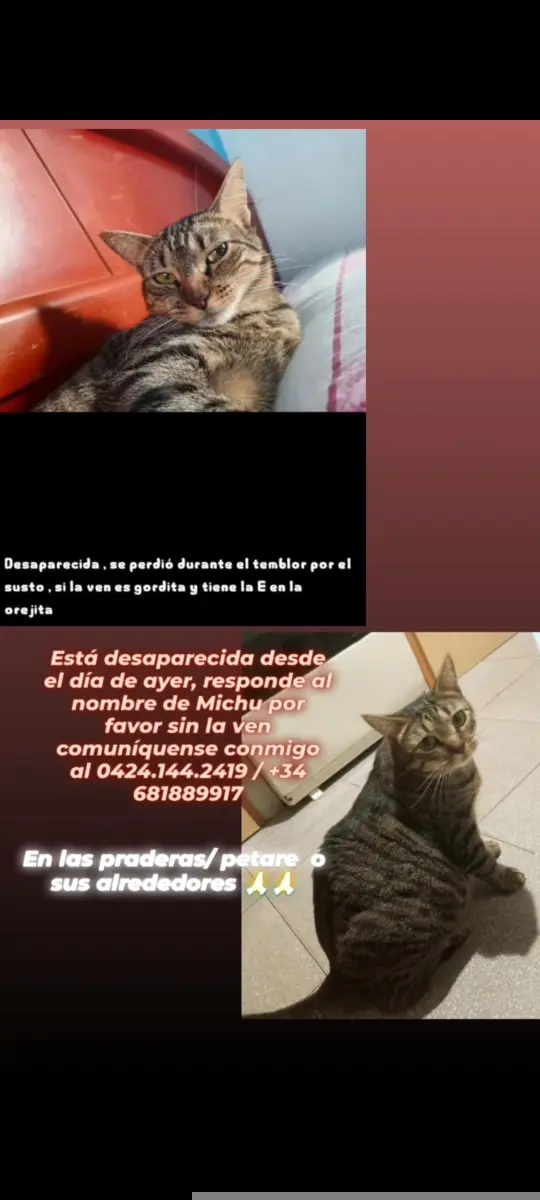Alice Alias Michu