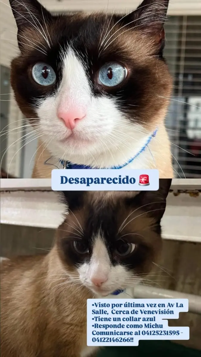Responde por michu