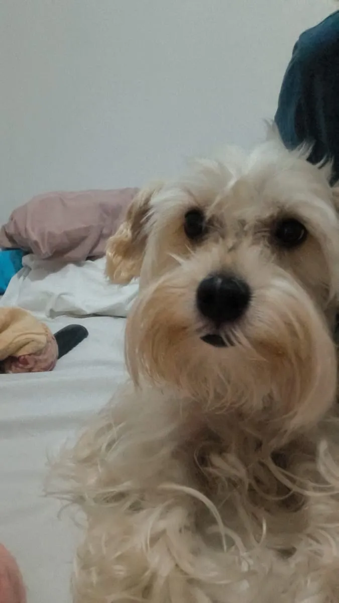 Lía — foto 2