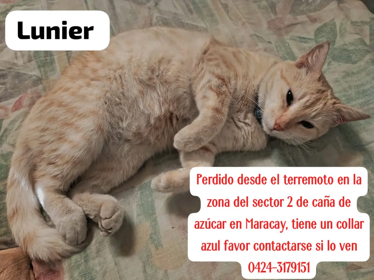 Lunier