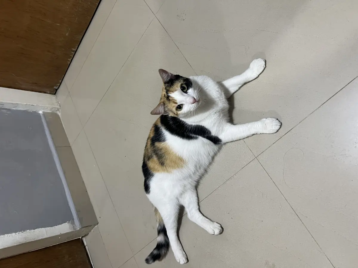 Chloe