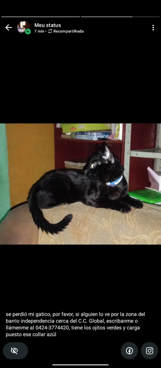 Negrito