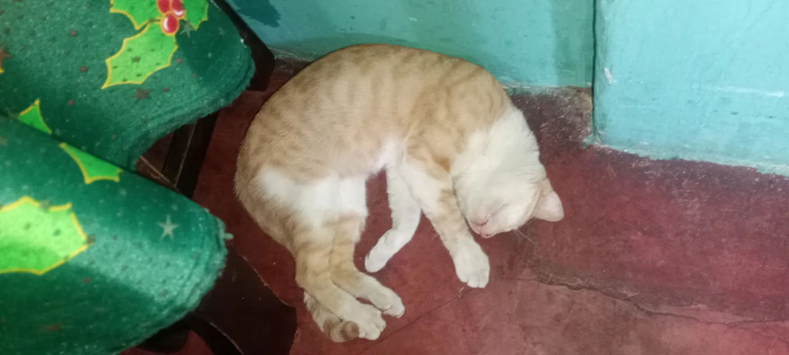 Arequipe — foto 2