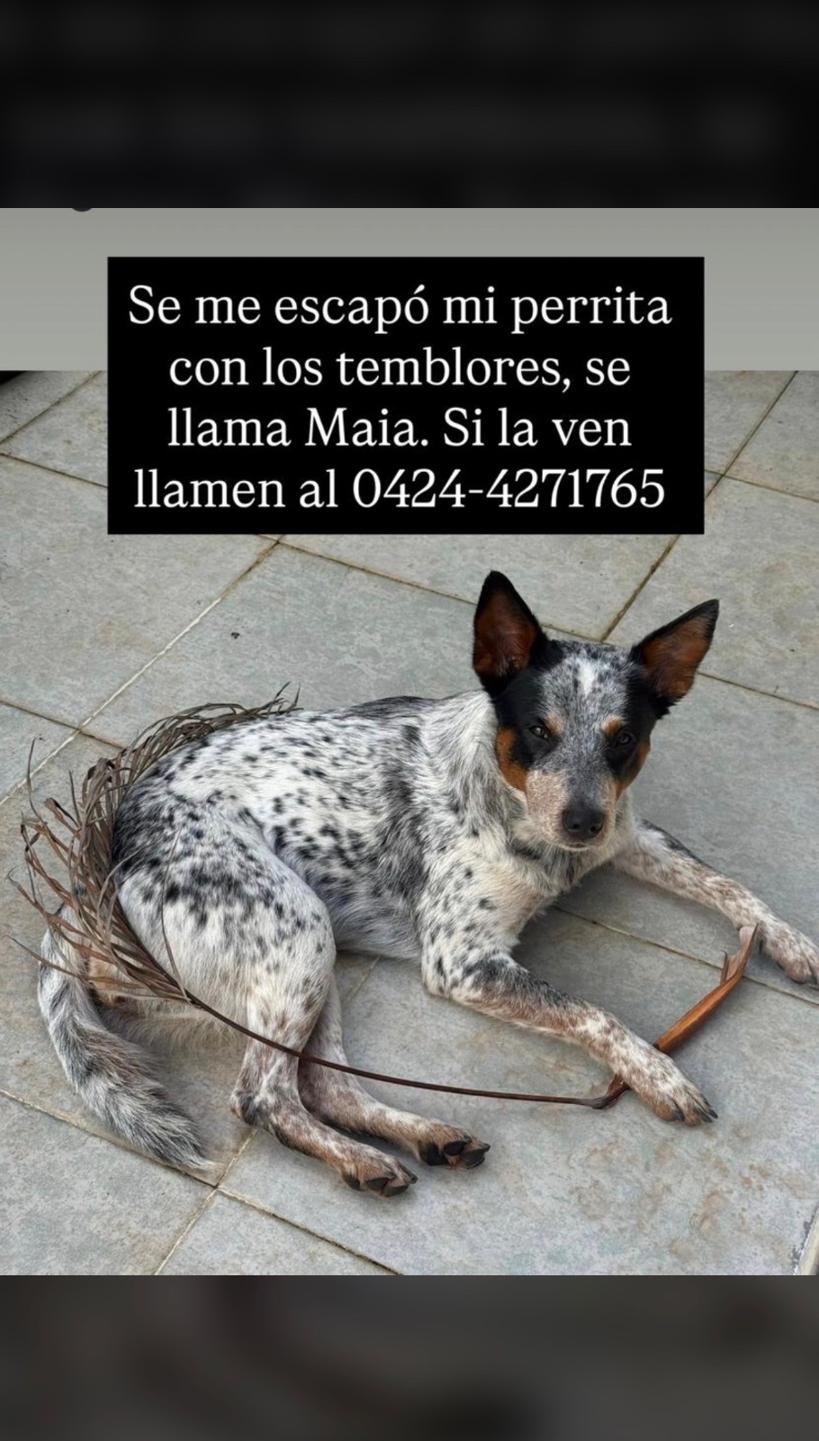 Patricia Acevedo — foto 5