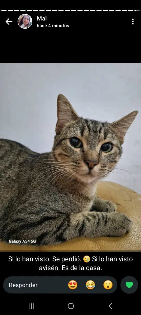 Rigoberto