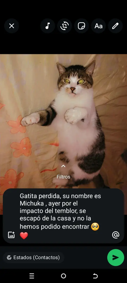 Michuka
