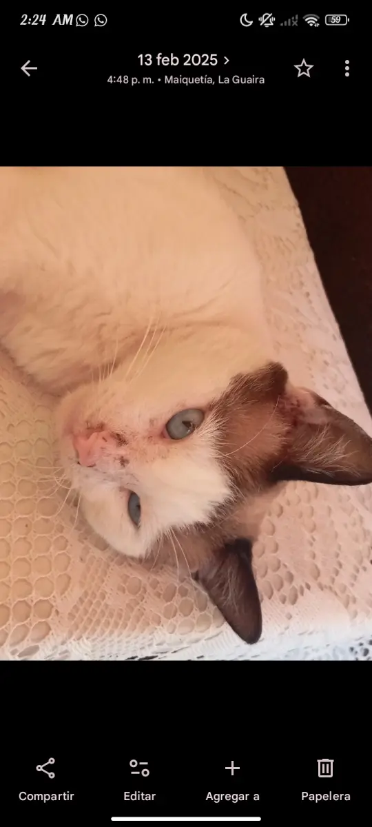Panchito