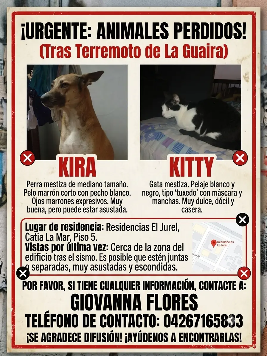 Kira y kitty