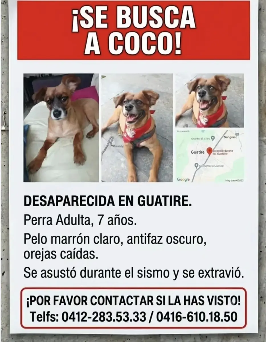 Coco