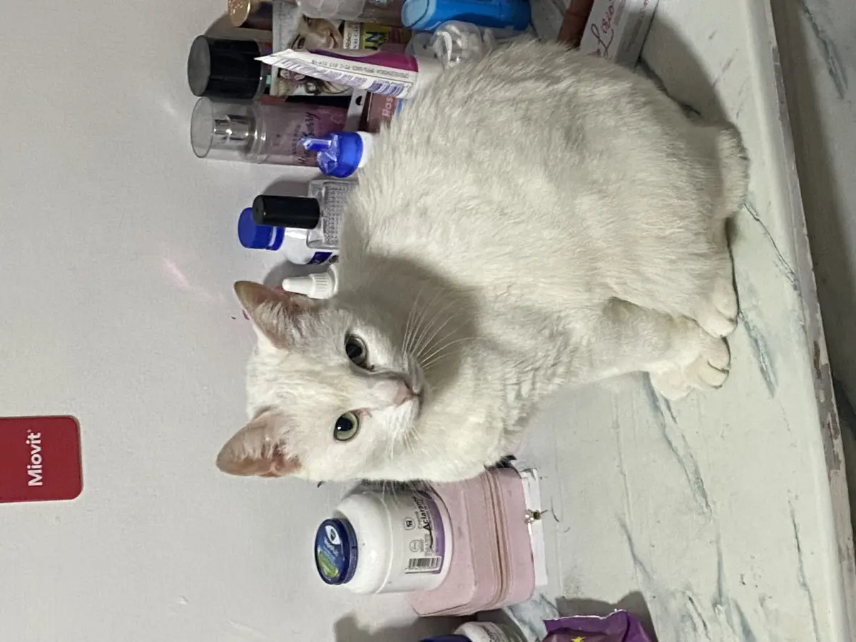 misu
