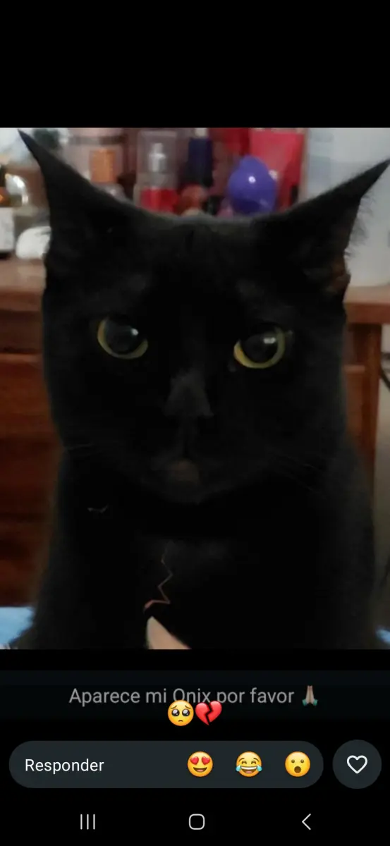 Onix