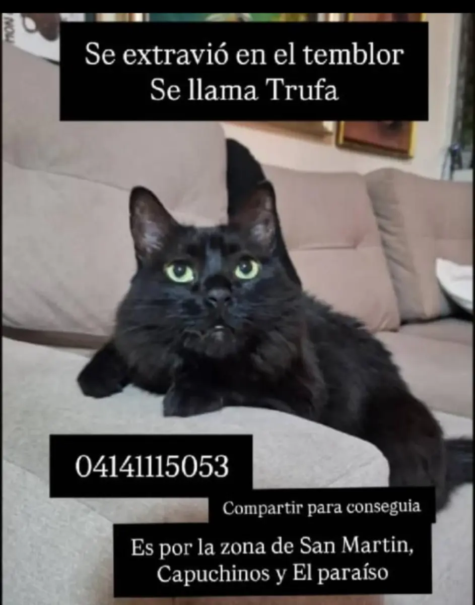 Trufa