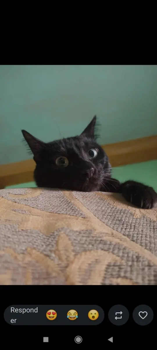 Negrito
