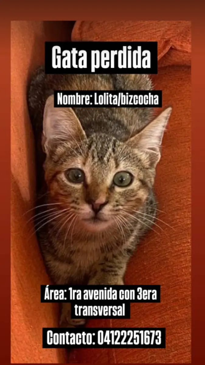 Bizcochita