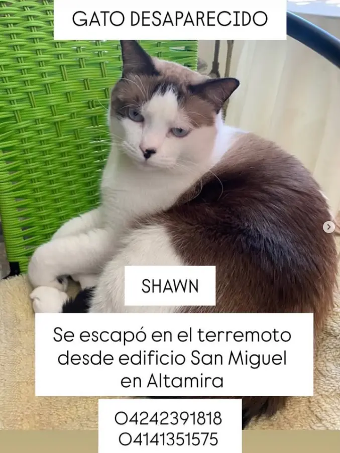 SHAWN