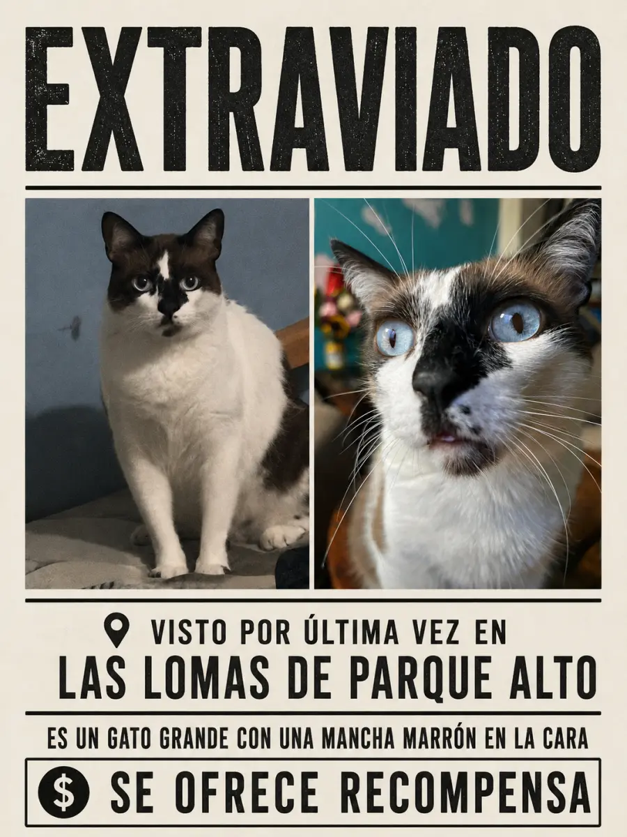 Quesito
