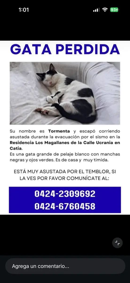 Tormenta