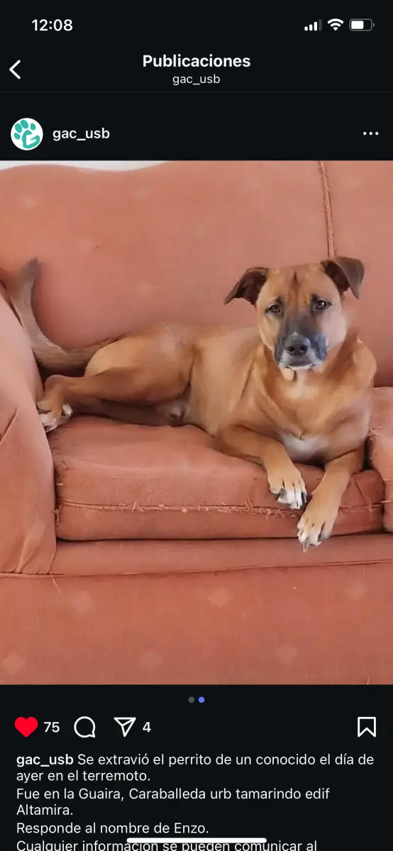 Enzo
