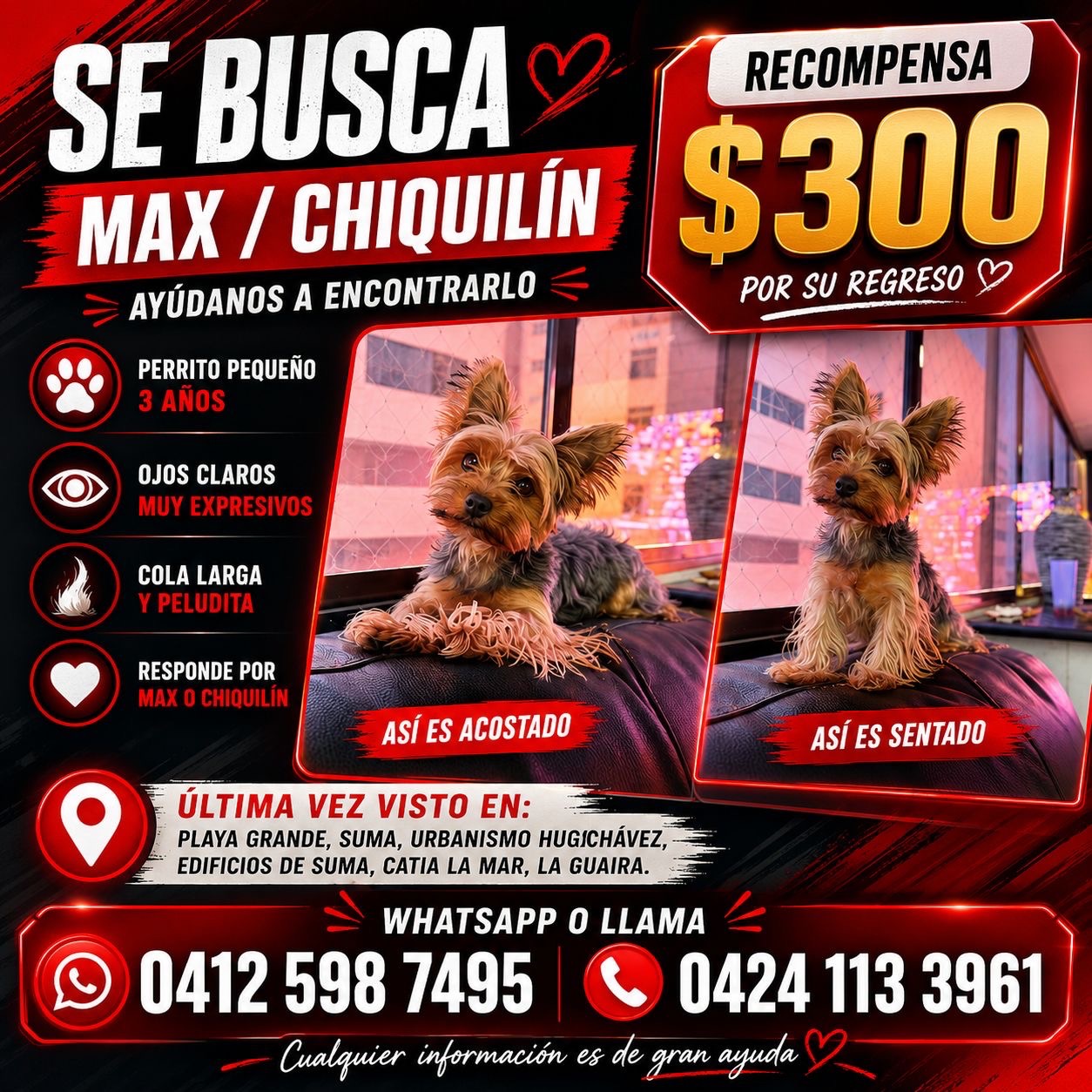 Max (chiquilin) — foto 3