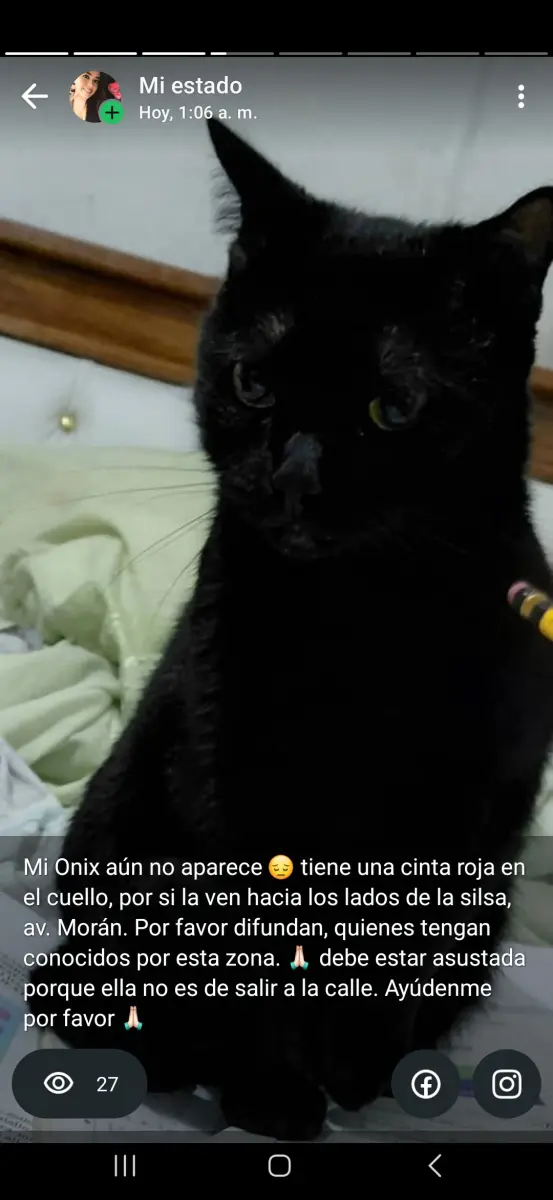 Onix