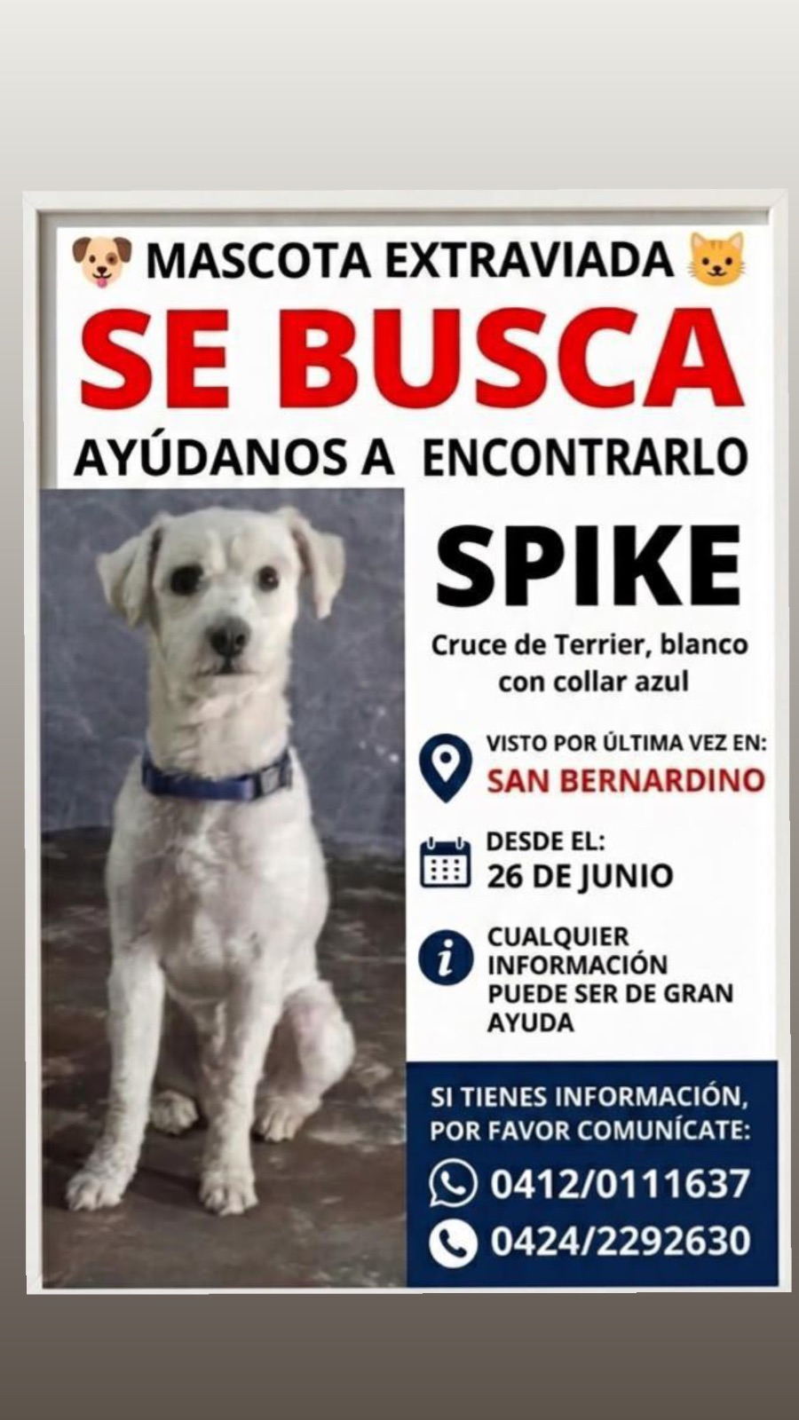 SPIKE — foto 2