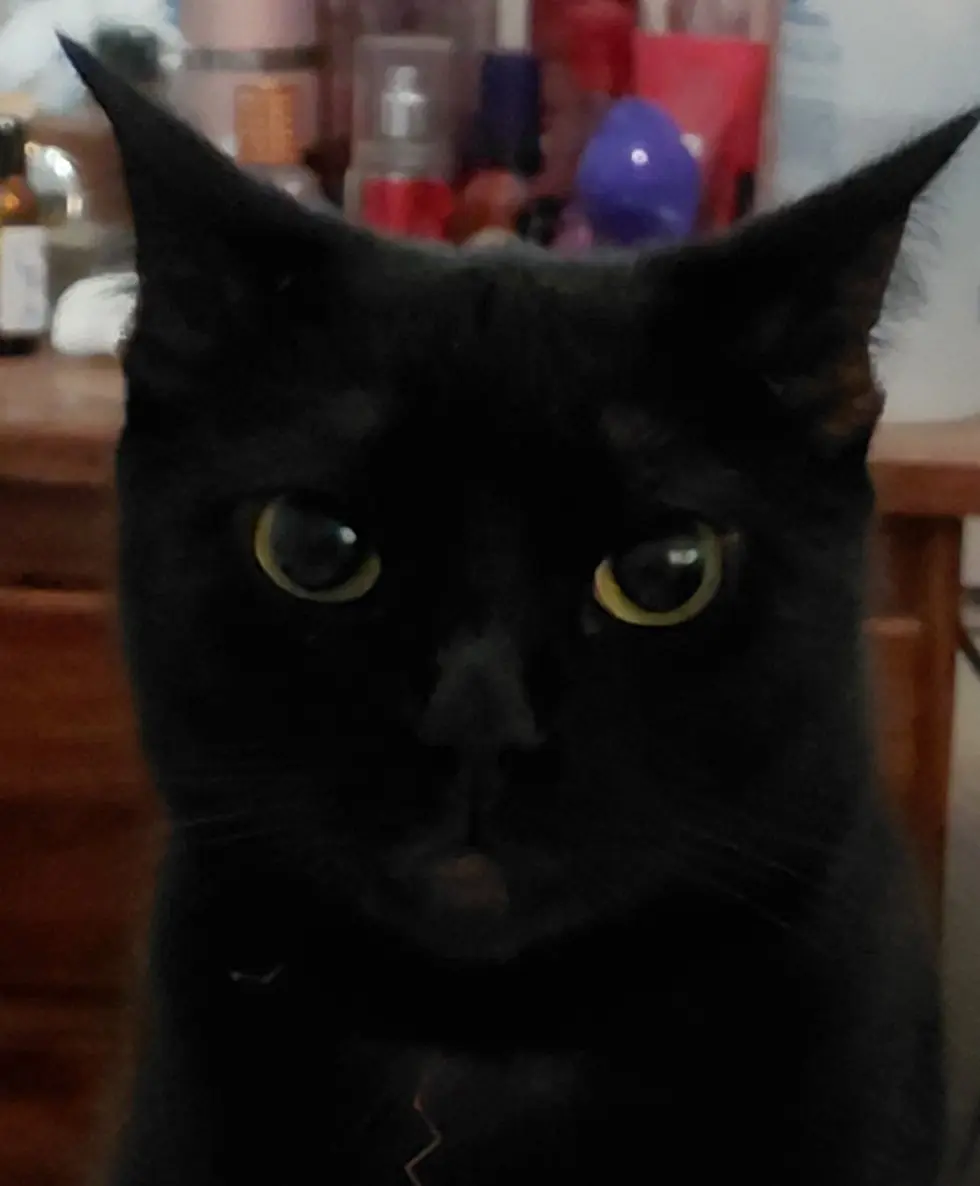 ONIX (GATA)