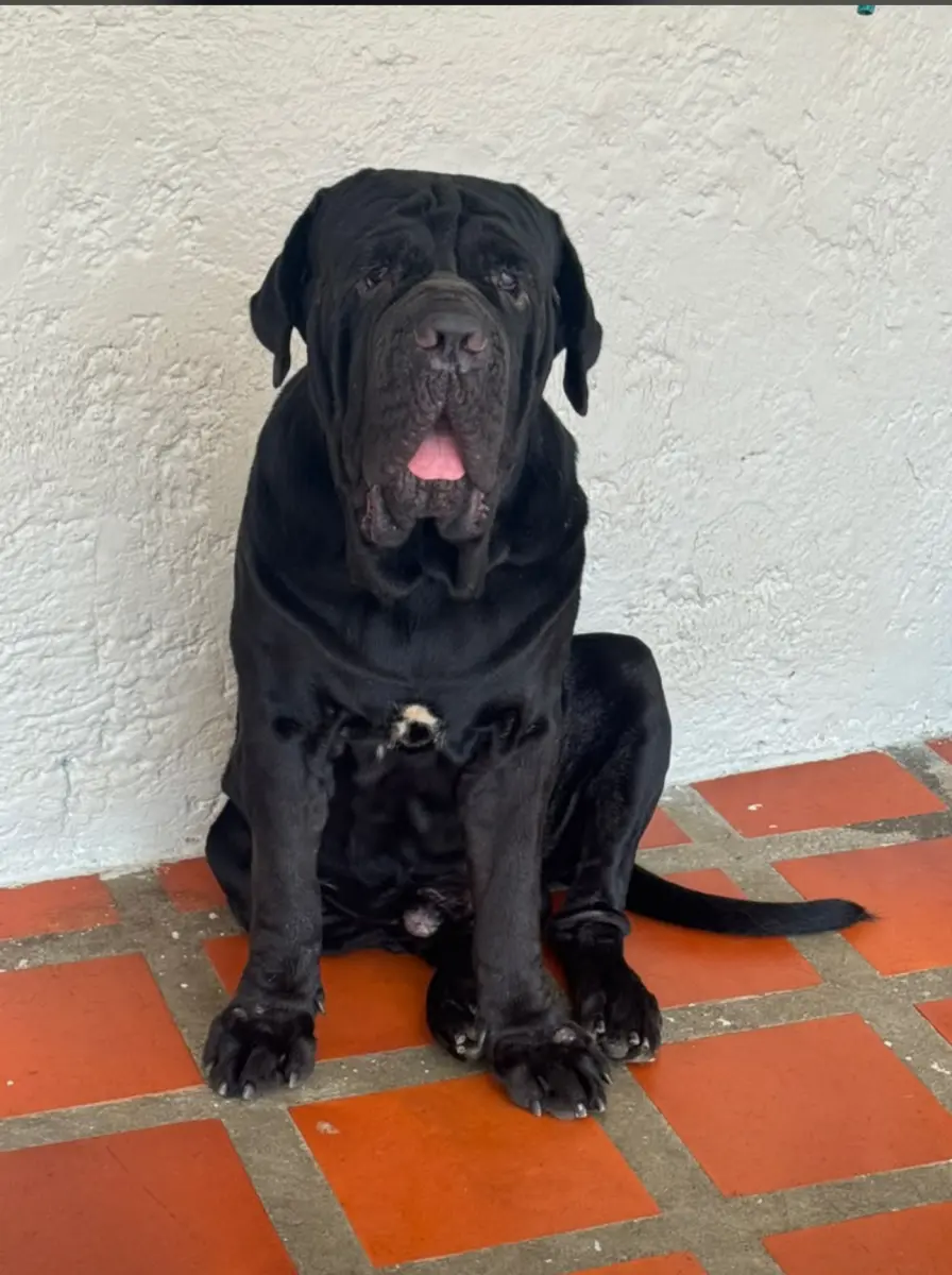 Ragnar Javier