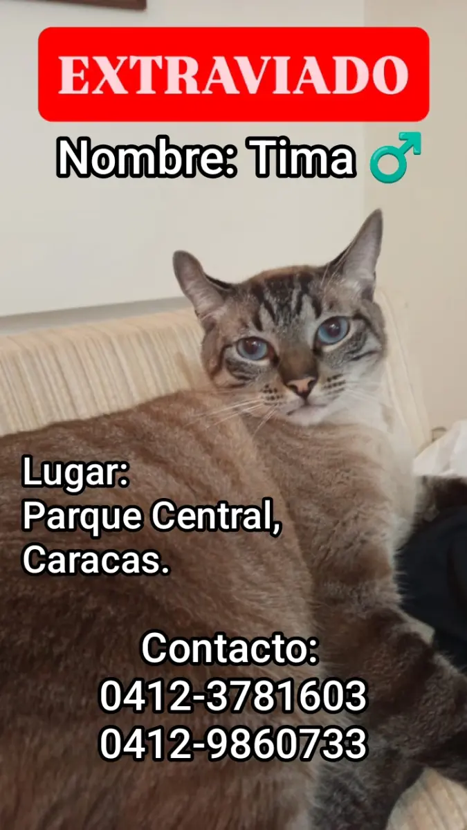 Tima